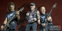 Accept-149775.jpg