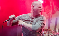 Hackneyed-140040.jpg