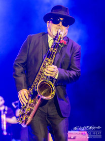 Madness-145318.jpg