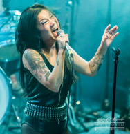 Night_Viper-145508.jpg