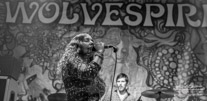 Wolvespirit-149385.jpg