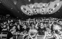 Broilers-1186.jpg