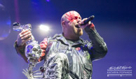 FiveFingerDeathPunch-0168.jpg