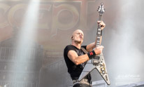 Accept-3974.jpg