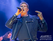 David_Hasselhoff-8501.jpg