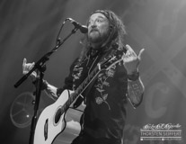 Ginger_Wildheart-0714.jpg