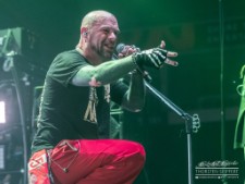 Five Finger Death Punch-0234