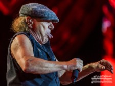 ACDC-4598