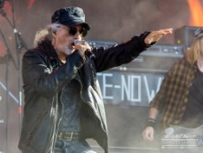 Krokus-6138