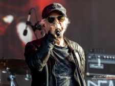 Krokus-6139