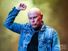 Armored Saint-3759 null