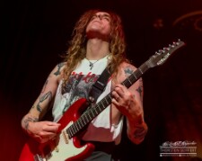 Mastodon-5606 null