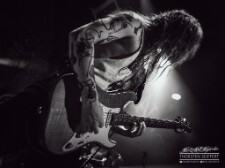 Mastodon-5612 null