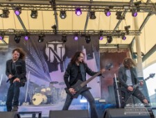 Nailed to Obscurity-4433 null