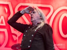 Saxon-4849 null
