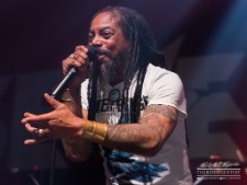 Sevendust-8649