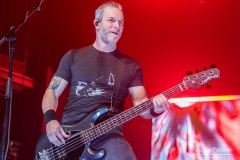 Alter Bridge