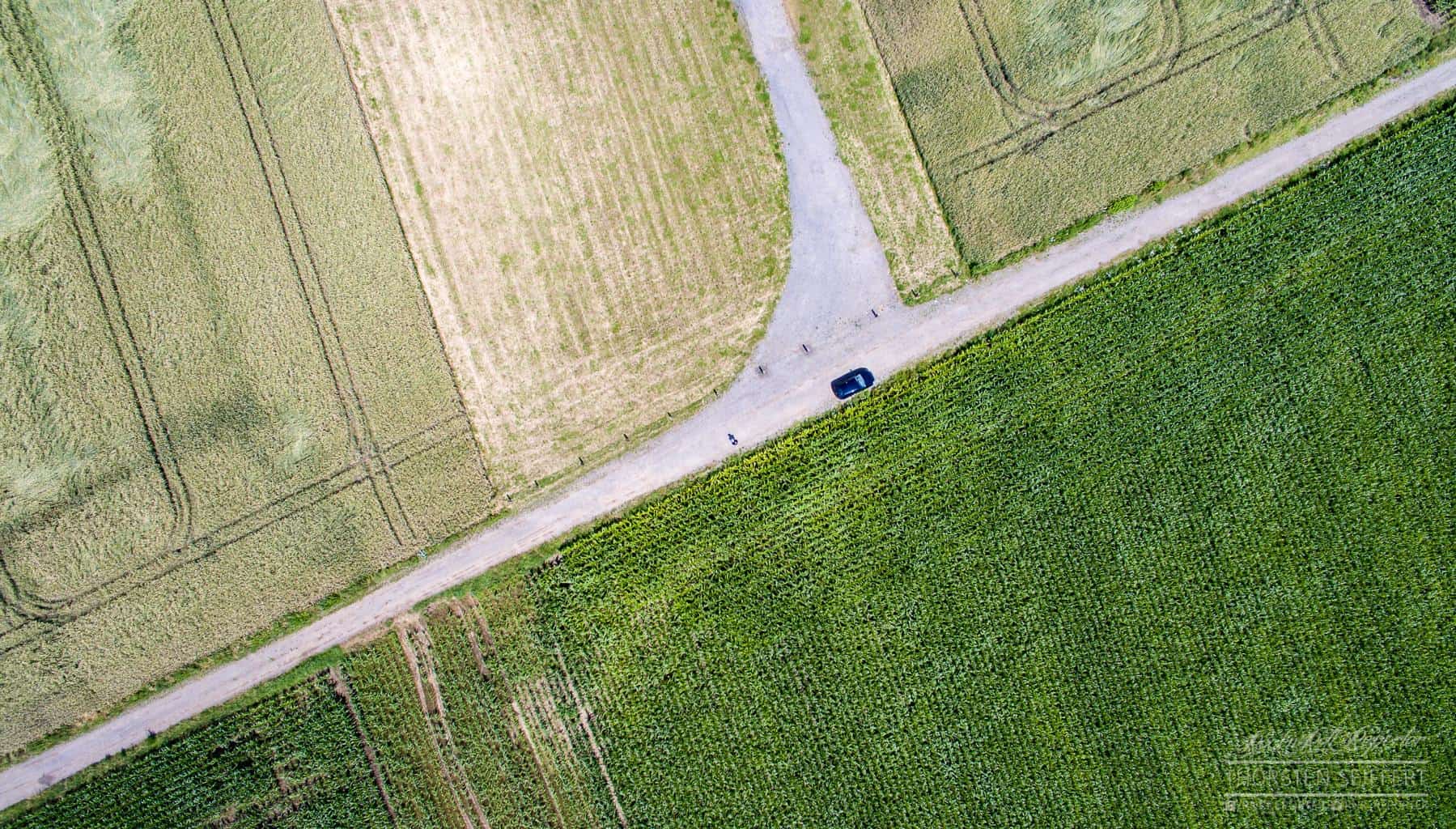 13575917 1275288575816182 8261300284400341748 o